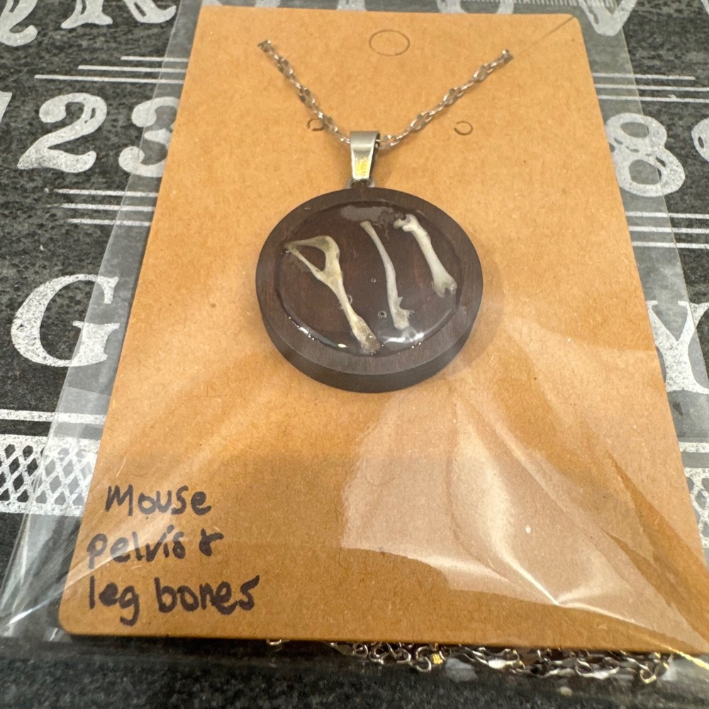 OOAK Handcrafted Taxidermy Oddities Mouse Pelvis Hip Bones Pendant Necklace
